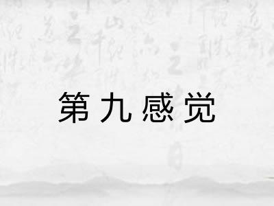 第九感觉