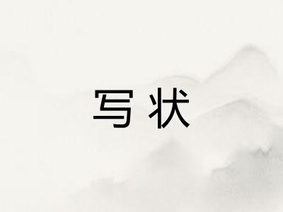 写状