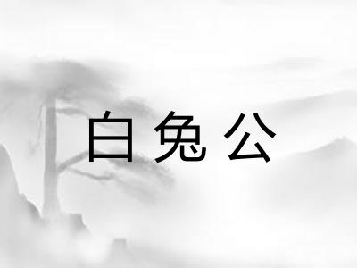 白兔公 白兔公