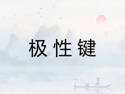 极性键 极性键