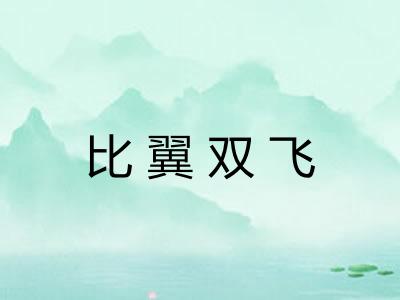 比翼双飞