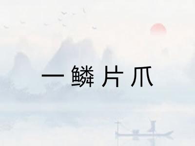 一鳞片爪 一鳞片爪