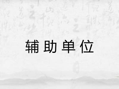 辅助单位