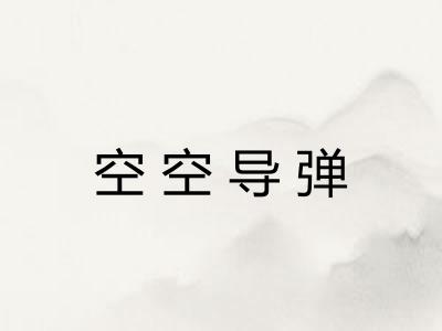 空空导弹 空空导弹