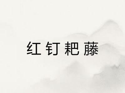 红钉耙藤 红钉耙藤