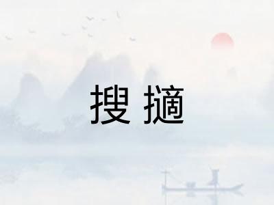搜擿