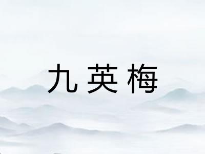 九英梅