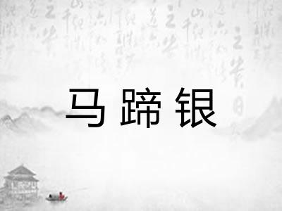 马蹄银 马蹄银