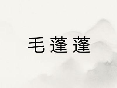 毛蓬蓬