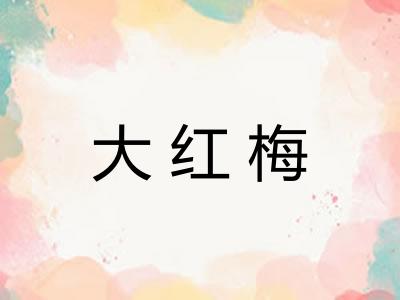 大红梅