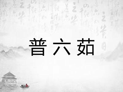 普六茹