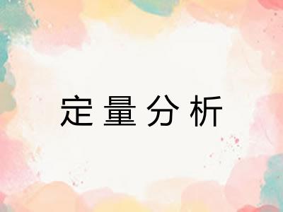 定量分析