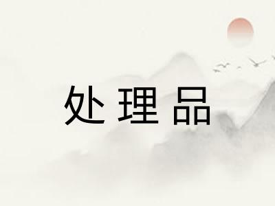 处理品 处理品
