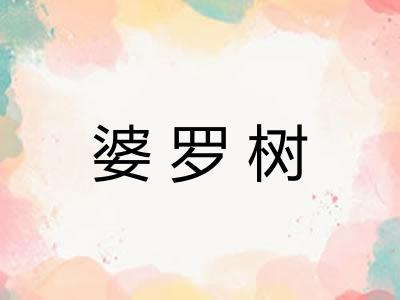 婆罗树