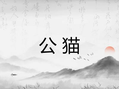 公猫