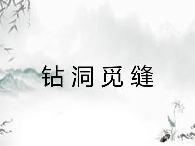 钻洞觅缝 钻洞觅缝