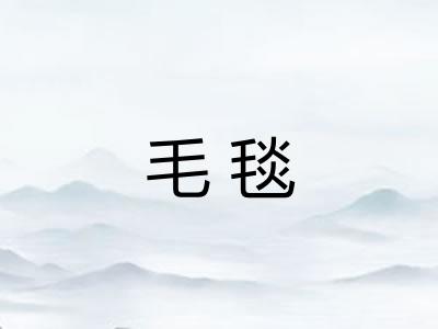 毛毯