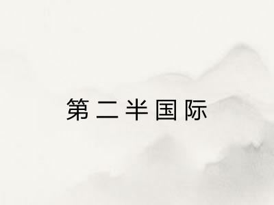 第二半国际