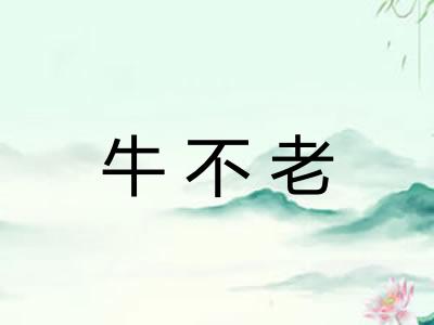 牛不老