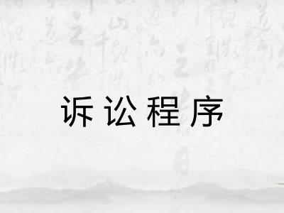 诉讼程序