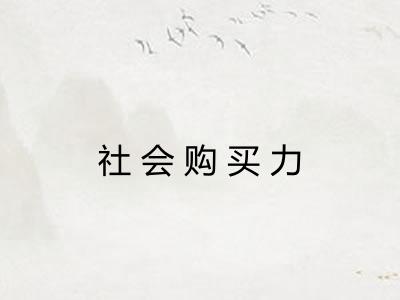 社会购买力