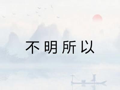 不明所以