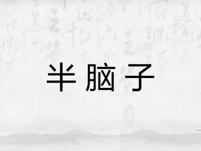 半脑子 半脑子