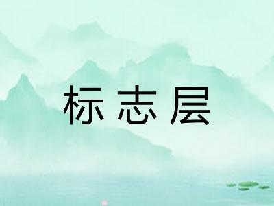 标志层