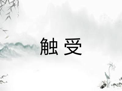 触受