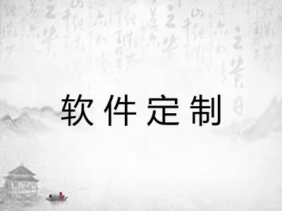 软件定制
