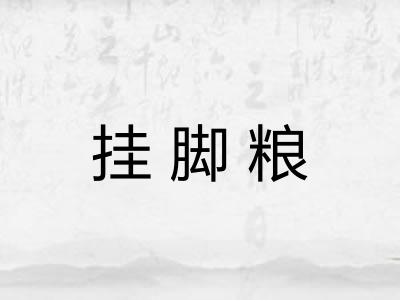 挂脚粮 挂脚粮