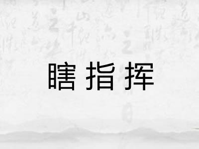 瞎指挥