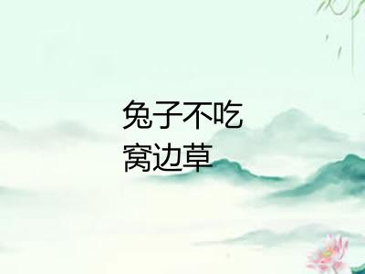 兔子不吃窝边草 兔子不吃窝边草