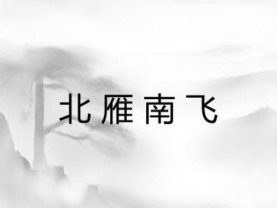 北雁南飞 北雁南飞