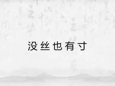 没丝也有寸