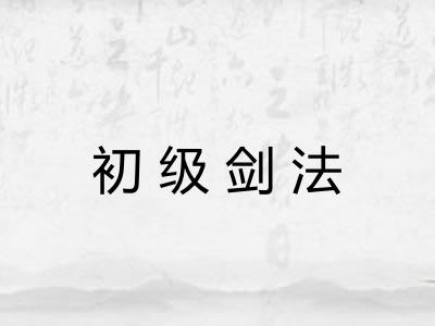 初级剑法