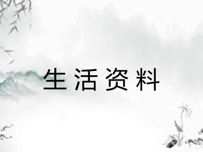 生活资料