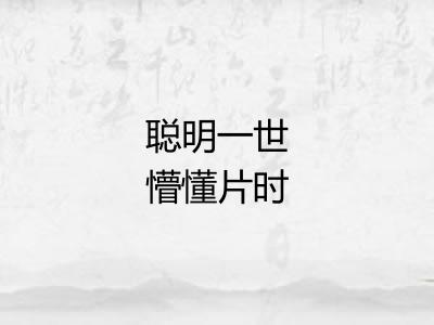 聪明一世懵懂片时