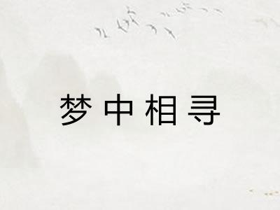 梦中相寻