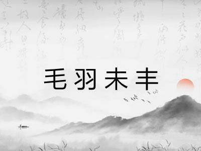 毛羽未丰 毛羽未丰