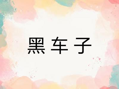 黑车子 黑车子