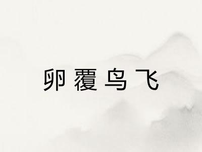 卵覆鸟飞