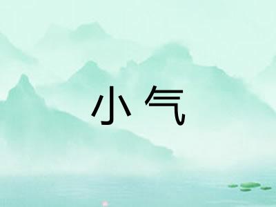 小气