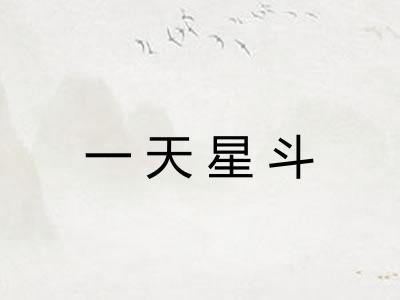 一天星斗