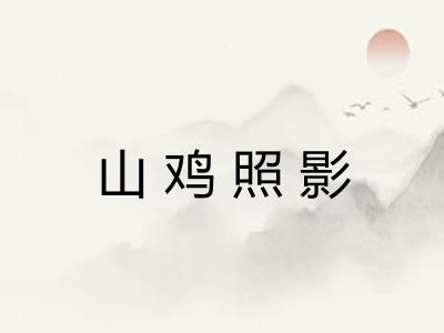 山鸡照影