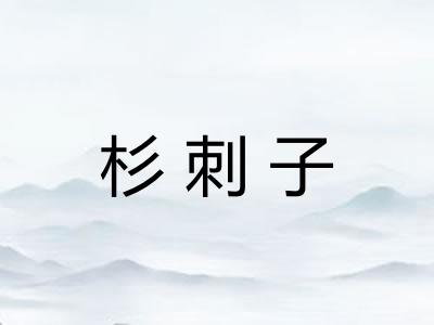 杉刺子 杉刺子