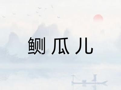 鲗瓜儿