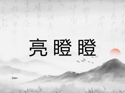 亮瞪瞪