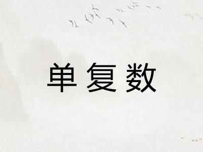 单复数