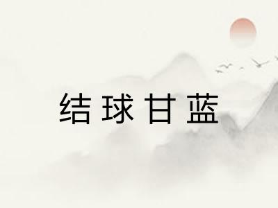 结球甘蓝 结球甘蓝
